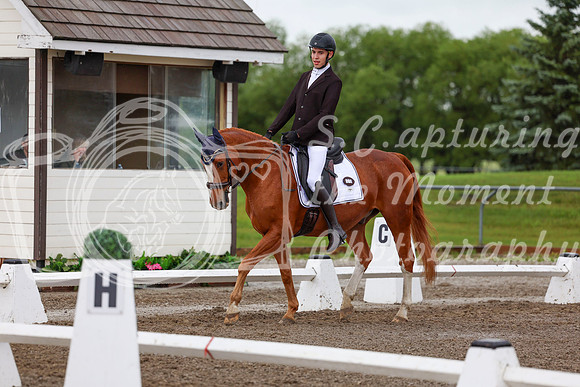2025 - Dressage Festival - Sunday July 6th - 01343