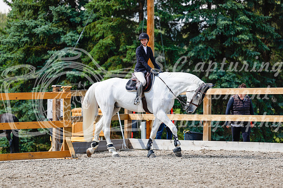 2025 - Haylee - Picco Horse Show - Saturday July 26th 07880