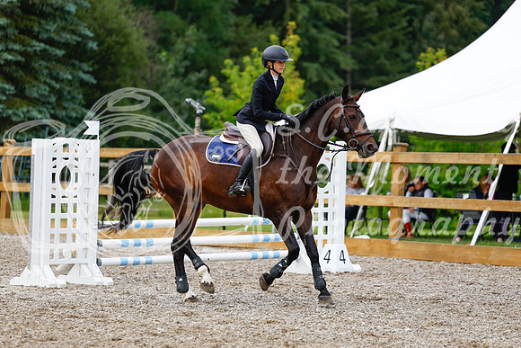 2025 - Haylee - Picco Horse Show - Saturday July 26th 01950