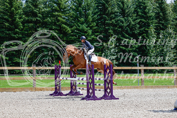 2025 - Haylee - Picco Horse Show - Sunday July 27th 04297