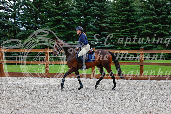 2025 - Haylee - Picco Horse Show - Friay July 25th 00056