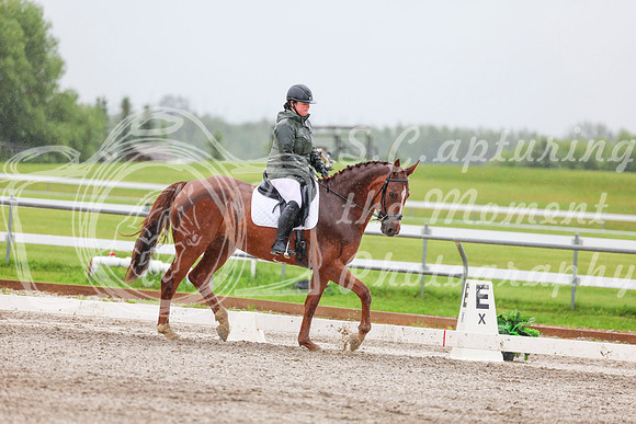 2025 - Dressage Festival - Sunday July 6th - 03595