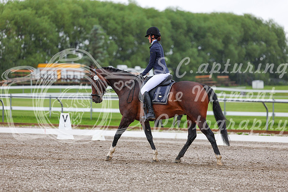 2025 - Dressage Festival - Sunday July 6th - 02291