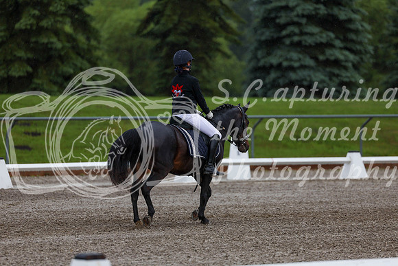2025 - Dressage Festival - Sunday July 6th - 00165