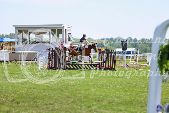 2025 - Shea - Teesdale - Thursday July 24th - 01915