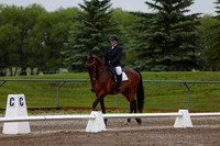 2025 - Dressage Festival - Sunday July 6th - 00337