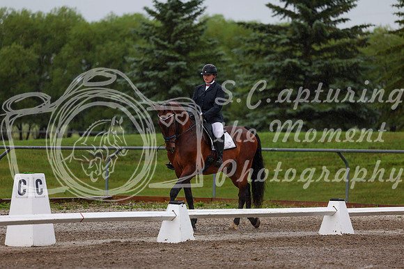2025 - Dressage Festival - Sunday July 6th - 00337