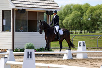 2025 - Dressage Festival - Saturday July 5th - 06958