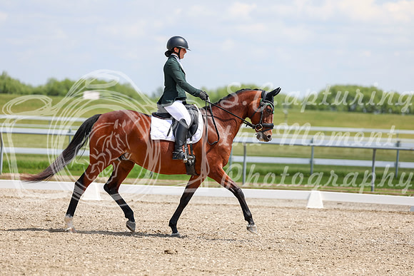 2025 - Dressage Festival - Saturday July 5th - 09424