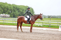 2025 - Dressage Festival - Sunday July 6th - 03581