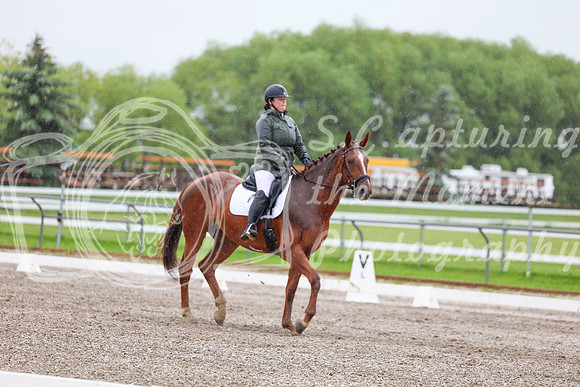 2025 - Dressage Festival - Sunday July 6th - 03576