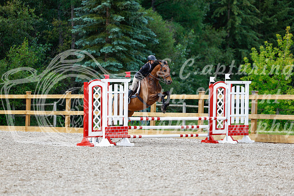 2025 - Haylee - Picco Horse Show - Friay July 25th 01617