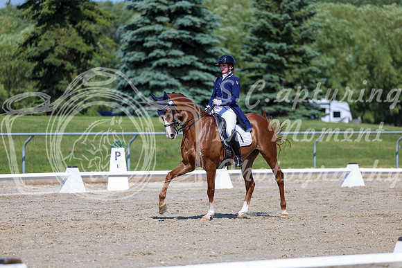 2025 - Dressage Festival - Saturday July 5th - 04243