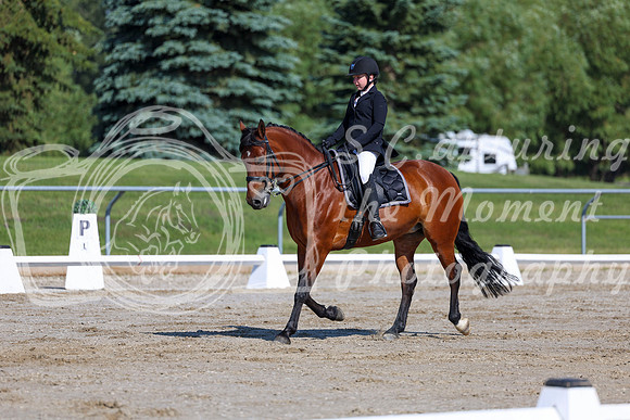 2025 - Dressage Festival - Saturday July 5th - 01875