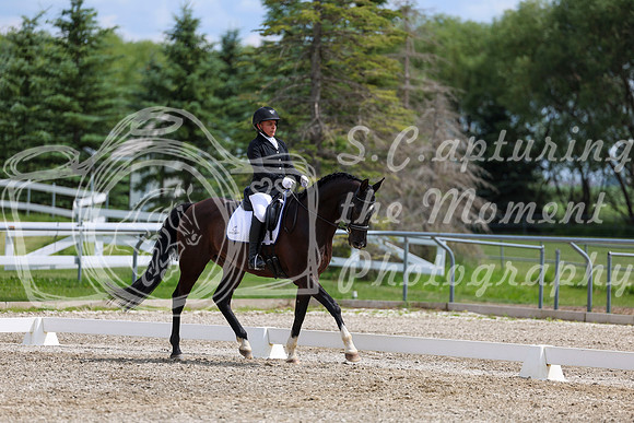 2025 - Dressage Festival - Saturday July 5th - 11467