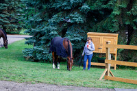 2025 - Haylee - Picco Horse Show - Saturday July 26th 00022