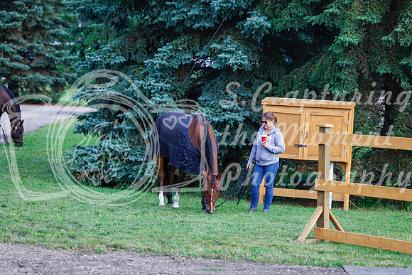2025 - Haylee - Picco Horse Show - Saturday July 26th 00022