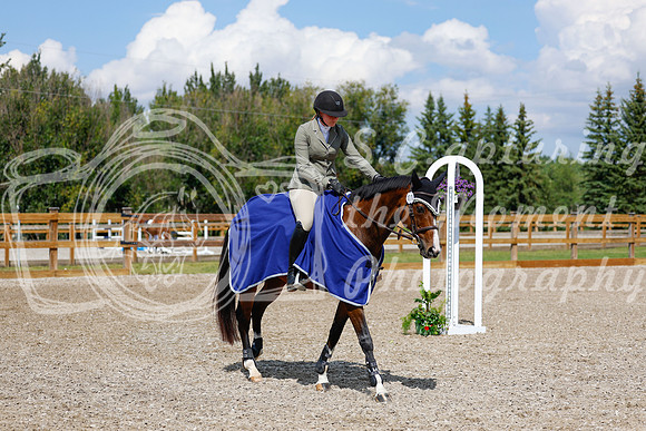 2025 - Haylee - Picco Horse Show - Sunday July 27th 05530