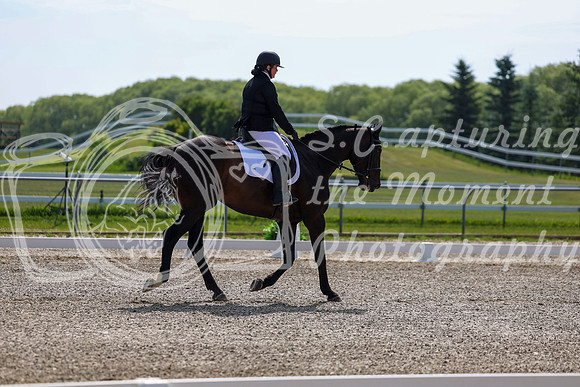 2025 - Dressage Festival - Saturday July 5th - 02966
