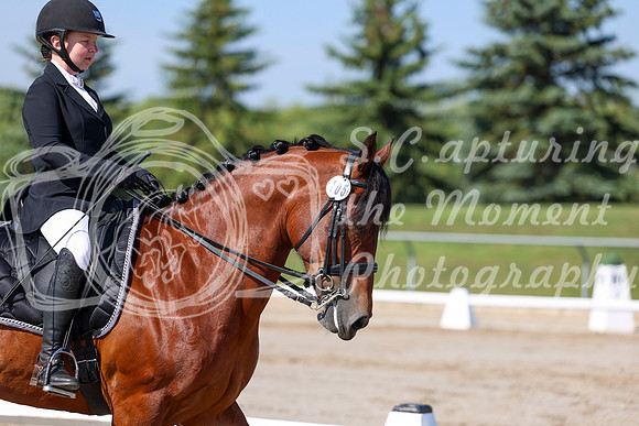 2025 - Dressage Festival - Saturday July 5th - 01863