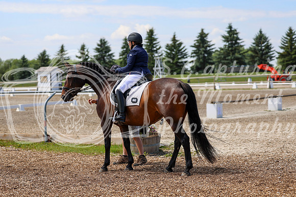 2025 - Dressage Festival - Saturday July 5th - 05985