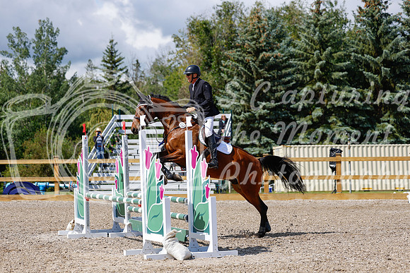 2025 - Haylee - Picco Horse Show - Sunday July 27th 02996