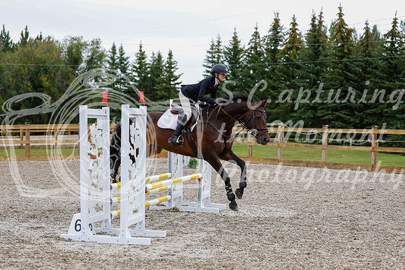 2025 - Haylee - Picco Horse Show - Friay July 25th 01001