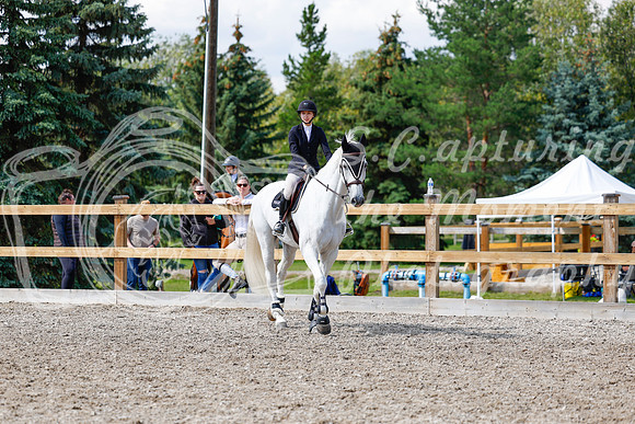 2025 - Haylee - Picco Horse Show - Saturday July 26th 07883
