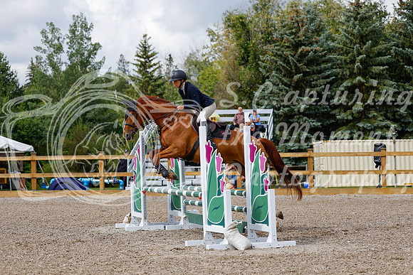 2025 - Haylee - Picco Horse Show - Sunday July 27th 02678