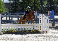 Pony