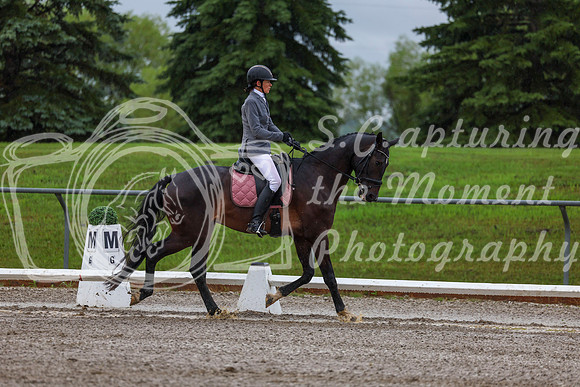 2025 - Dressage Festival - Sunday July 6th - 00643