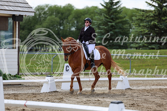 2025 - Dressage Festival - Saturday July 5th - 09606