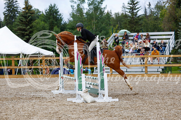 2025 - Haylee - Picco Horse Show - Sunday July 27th 02172