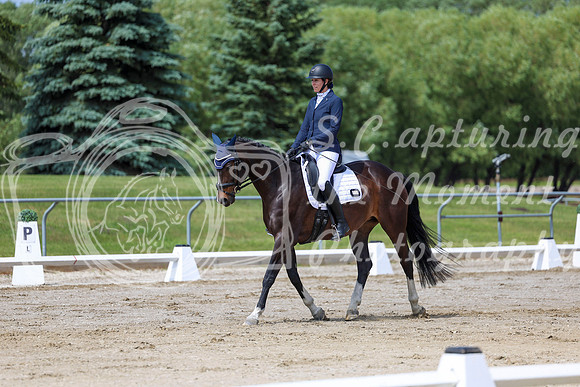2025 - Dressage Festival - Saturday July 5th - 07495