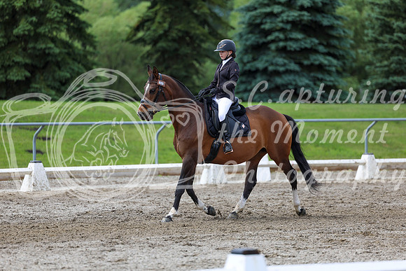 2025 - Dressage Festival - Sunday July 6th - 14409