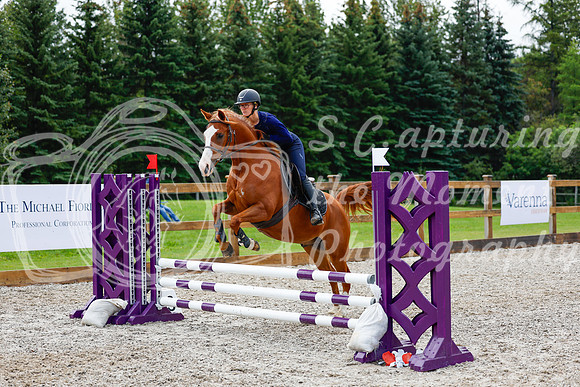 2025 - Haylee - Picco Horse Show - Sunday July 27th 01926