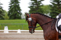 2025 - Dressage Festival - Sunday July 6th - 02402