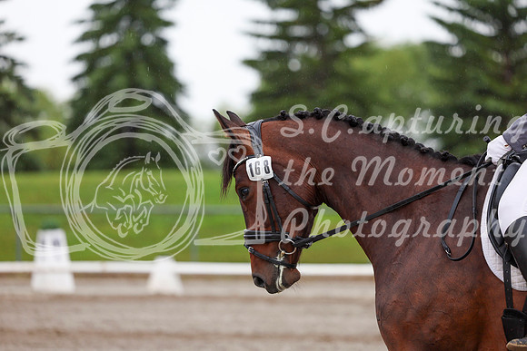 2025 - Dressage Festival - Sunday July 6th - 02402