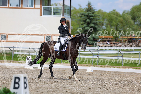 2025 - Dressage Festival - Saturday July 5th - 11399