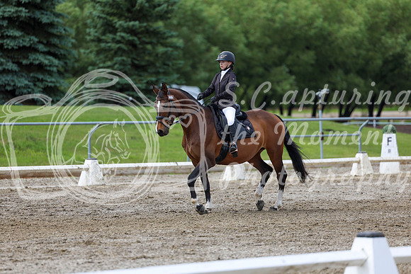 2025 - Dressage Festival - Sunday July 6th - 14405