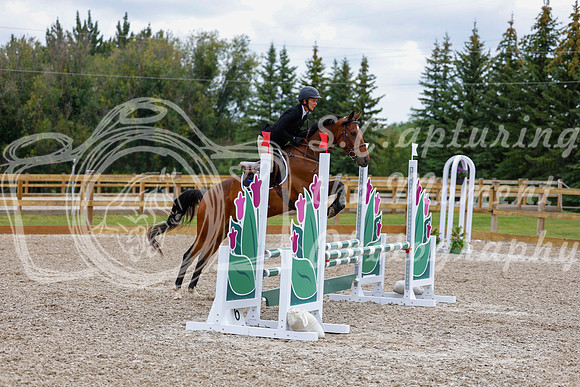 2025 - Haylee - Picco Horse Show - Saturday July 26th 04415