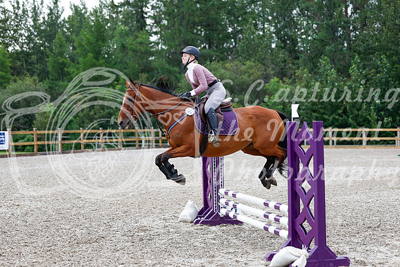 2025 - Haylee - Picco Horse Show - Saturday July 26th 00944