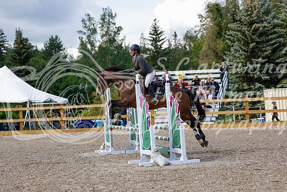 2025 - Haylee - Picco Horse Show - Sunday July 27th 02944