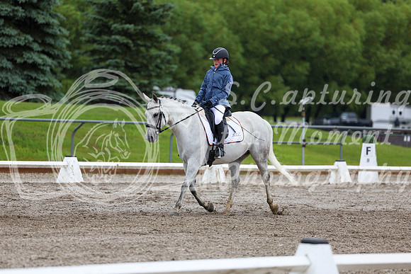 2025 - Dressage Festival - Sunday July 6th - 04824