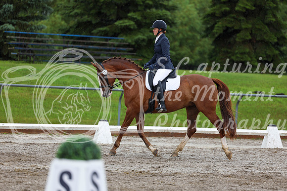 2025 - Dressage Festival - Sunday July 6th - 05314