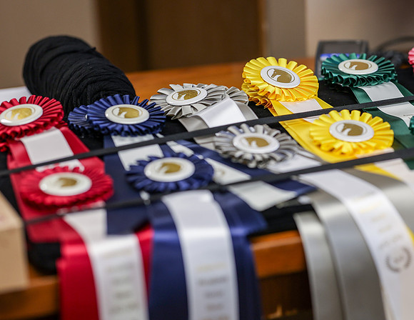 2025 - HJ Schooling - Saturday March 22nd - 0003