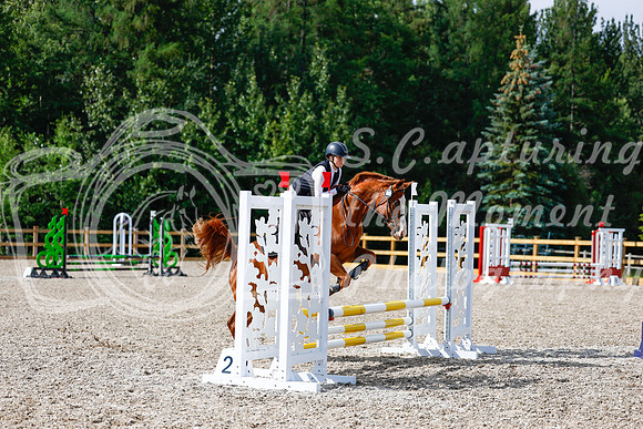 2025 - Haylee - Picco Horse Show - Thursday July 24th 01291