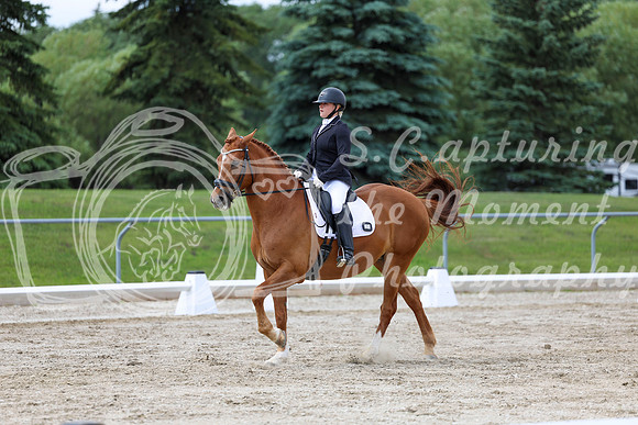 2025 - Dressage Festival - Saturday July 5th - 11180