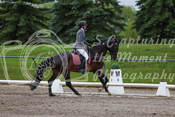 2025 - Dressage Festival - Sunday July 6th - 00721
