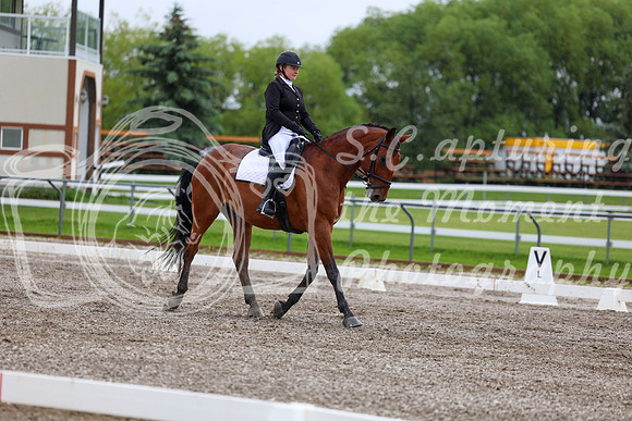 2025 - Dressage Festival - Sunday July 6th - 05004